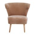 Cefena Chair - Mink Velvet Fabric