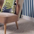 Cefena Chair - Mink Velvet Fabric