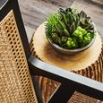 Corso Armchair - Black Wood and Rattan