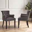 Doucet Chair - Grey Velvet Fabric with Ring Back