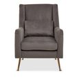 Doucet Armchair - Grey Velvet Fabric with Gold Legs