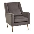 Doucet Armchair - Grey Velvet Fabric with Gold Legs