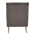 Doucet Armchair - Grey Velvet Fabric with Gold Legs