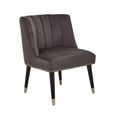 Doucet Chair - Grey Velvet Fabric