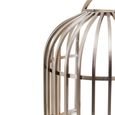 Eliza Chair - Brushed Silver Metal Frame with Dome Cage
