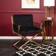 Hendricks Chair - Black Velvet Fabric with Gold Metal