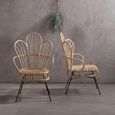 Java Chair - Natural Rattan with Black Metal - Scalloped Back