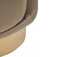 Biarritz Accent Chair - Mink Velvet Fabric