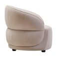 Darla Chair - Curved - Stone Velvet Fabric