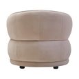 Darla Chair - Curved - Stone Velvet Fabric