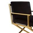 Hendricks Chair - Black Velvet Fabric with Gold Metal
