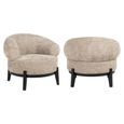 Montana Desert Fabric Accent Chair