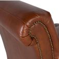 Tetuan Vintage Brown Leather with Rolled Armchair thumbnail 5