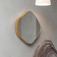 Organic Wall Mirror - Champagne Metal - Abstract - 59cm x 61cm