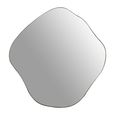 Organic Wall Mirror - Black Metal - Abstract - 59cm x 61cm