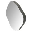 Organic Wall Mirror - Black Metal - Abstract - 59cm x 61cm