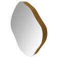 Organic Wall Mirror - Champagne Metal - Abstract - 59cm x 61cm