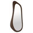 Briar Wall Mirror - Abstract - Brown - 60cm x 120cm