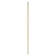 Draven Wall Mirror - Arch - Champagne Gold - 60cm x 160cm