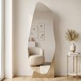 Mayla Floor Mirror - Abstract - Brushed Gold - Metal - 75cm x 40.5cm
