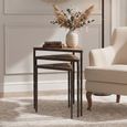 Elmo Nest of 3 Tables - Triangular - Textured Elm Wood and Metal