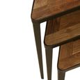 Elmo Nest of 3 Tables - Triangular - Elm Wood and Metal
