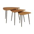 Elmo Nest of 3 Tables - Triangular - Large - Elm Wood and Metal