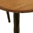 Elmo Nest of 3 Tables - Triangular - Large - Elm Wood and Metal
