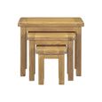 Dorchester Nest Of 3 Tables - Rustic Oak
