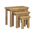 Dorchester Nest Of 3 Tables - Rustic Oak