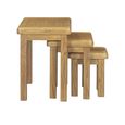 Dorchester Nest Of 3 Tables - Rustic Oak