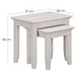 Provence Painted Nest of 2 Tables - Truffle