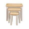 Windermere Painted Nest of 3 Tables - Oyster Grey
