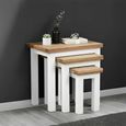 Lundy Nest of Tables - Set of 3 - White Painted