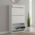 Manhattan Shoe Cabinet - 3 Door - Flip Down - White Gloss
