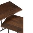 Side Table - 2 Tier - Brown and Black - Mango Wood and Metal