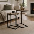 Side Table - 2 Tier - Natural and Black - Wood and Metal