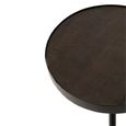 Fien Side Table - Round - Tripod Leg - Brown and Black - Mango Wood and Metal