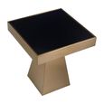 Carlox Side Table - Square - Black Glass with Gold Frame