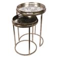 Clearance - Palm Tree Side Tray Table - Gold Metal - Round - Set of 2 - FSS17354