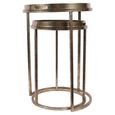 Clearance - Palm Tree Side Tray Table - Gold Metal - Round - Set of 2 - FSS17354