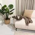 Brix Amy Side Table - Oval - Brown and Beige - Mango Wood and Metal