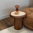 Melrose End Table - Spicebrown - Marble and Mango Wood