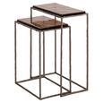 Villano End Table - 2 Tier - Bronze - Glass and Metal