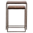 Villano End Table - 2 Tier - Bronze - Glass and Metal