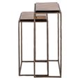 Villano End Table - 2 Tier - Bronze - Glass and Metal