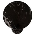 Tibby End Table - Black and Gold - Marble and Aluminum