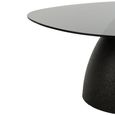 Side Table - Abstract - Sculptural Pedestal Base - Smoked and Black - Glass Top