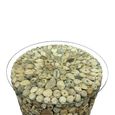 Driftwood Glass Top Drum Round Lamp Table thumbnail 4