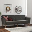 Novogratz Regal Futon Sofa Bed - Grey Linen Fabric - 2180429NUK